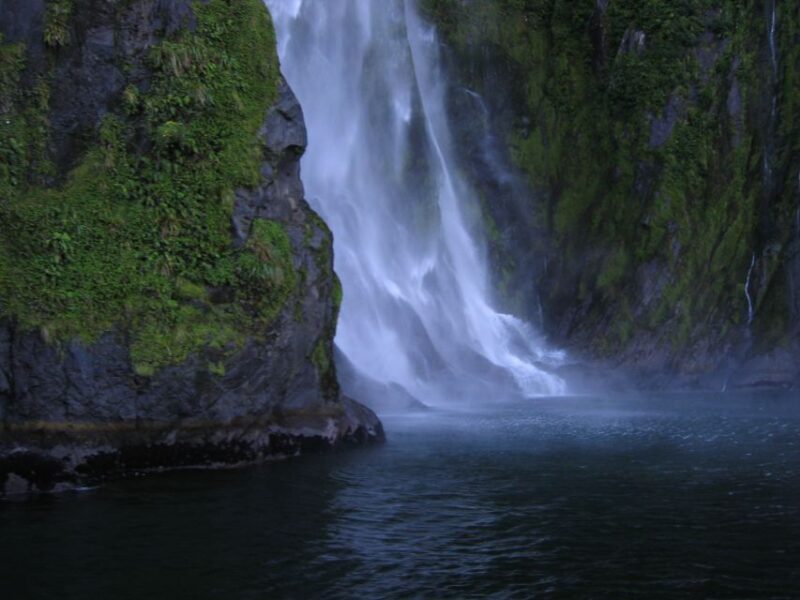 Milford Sound Premium Day Tour and Cruise From Te Anau - Wildlife and Scenic Highlights