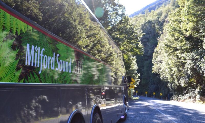 Milford Sound Premium Day Tour and Cruise From Te Anau - Meeting Point and What to Bring