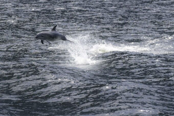 Milford Sound: Premium Small Group Cruise With Canape Lunch - Vessel and Crew Information