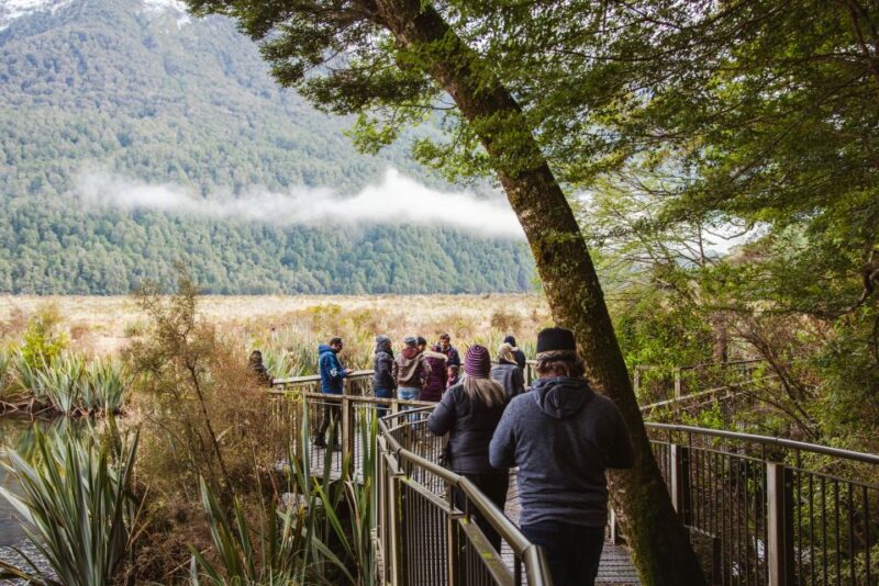 Milford Sound: Premium Small Group Tour From Queenstown - Experience Features