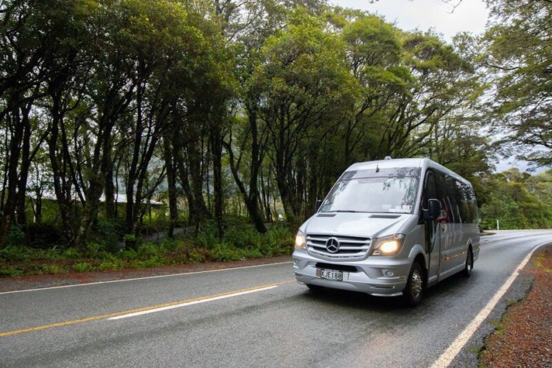Milford Sound: Premium Small Group Tour From Queenstown - Customer Feedback