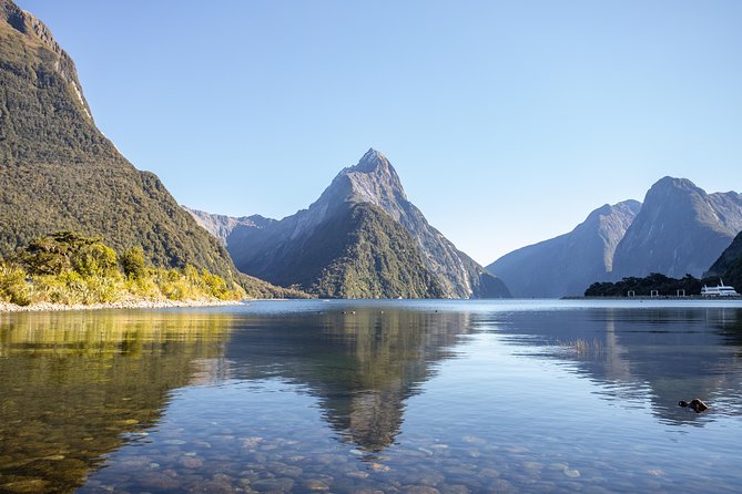Milford Sound Small Group Tour From Queenstown With Scenic Flight - Convenience and Accessibility