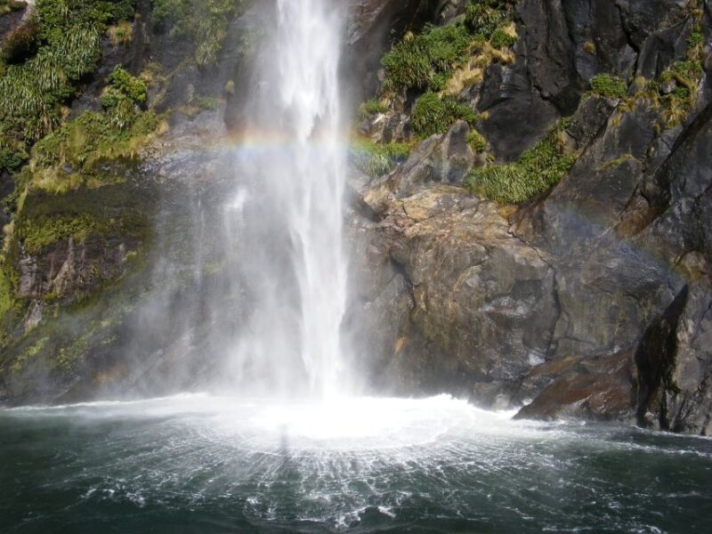 Milford Sound: Small-Group Tour From Te Anau - Itinerary and Experience
