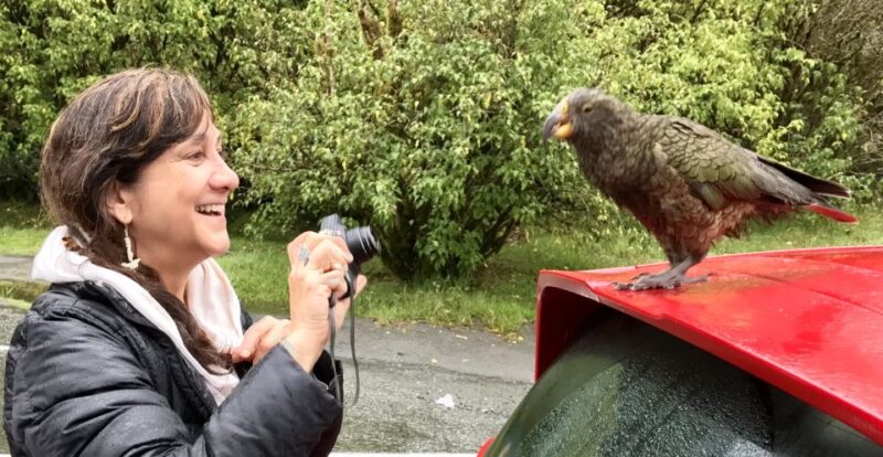 Milford Sound: Small-Group Tour From Te Anau - Customer Reviews