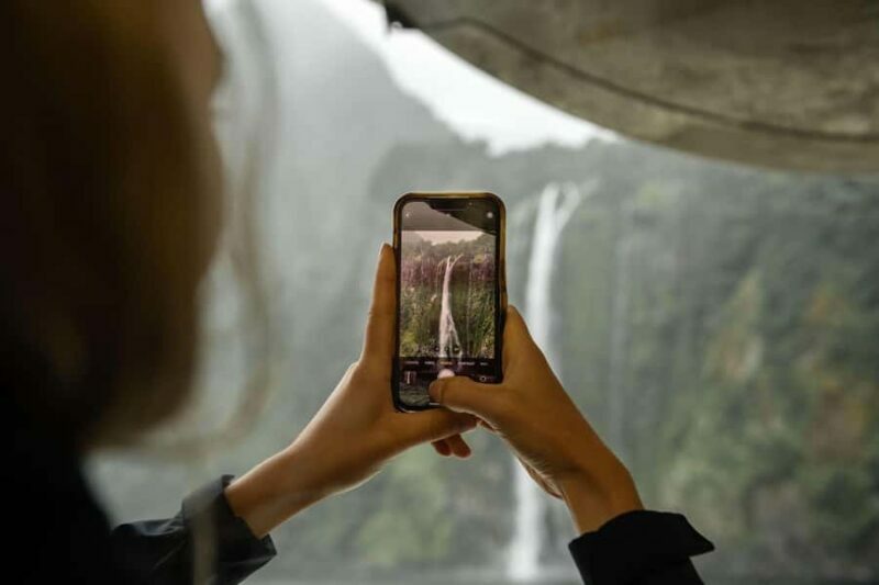 Milford Sound: Wildlife & Nature Cruises - Who Should Consider This Tour?