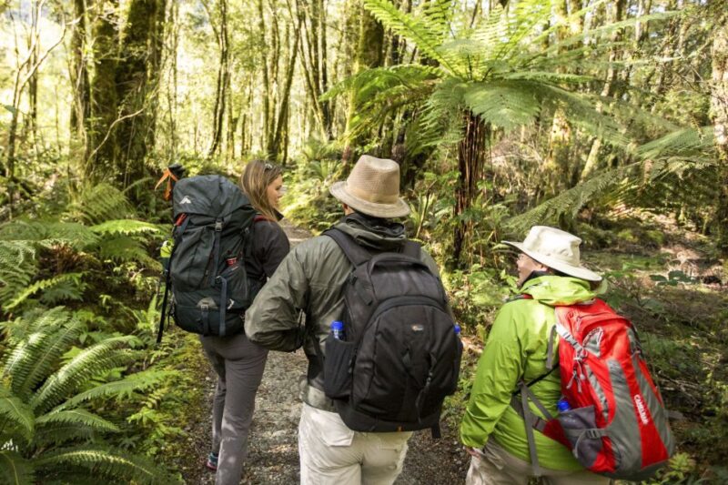 Milford Track: Full Day Guided Hike and Nature Cruise - Itinerary