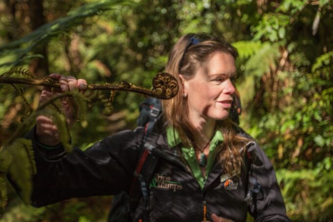 Milford Track: Full Day Guided Hike and Nature Cruise - Parking and Accessibility