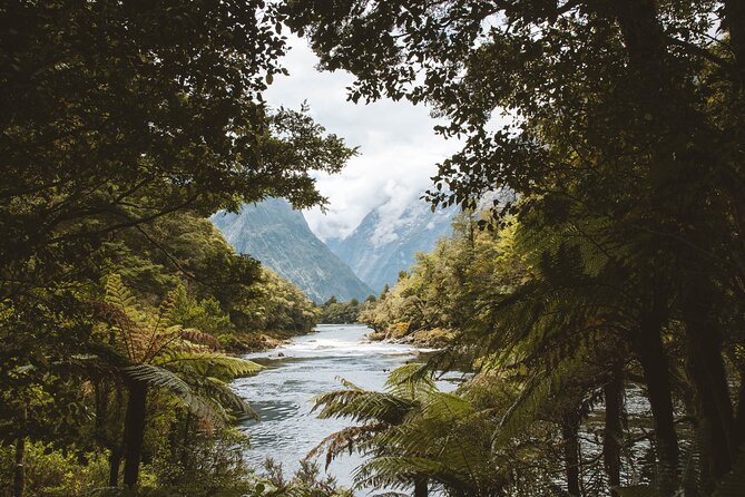 Milford Track Water Taxi Transport - Transportation Options