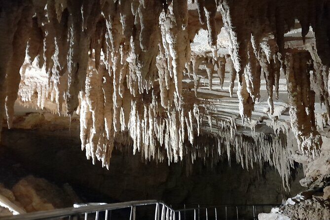 Milky Way Glowworm Cave Tour - Practical Tips for Visitors