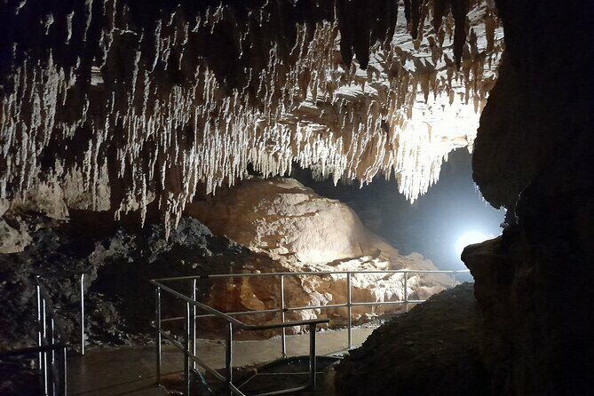 Milky Way Glowworm Cave Tour - The Sum Up: Who Will Love the Milky Way Glowworm Cave Tour?