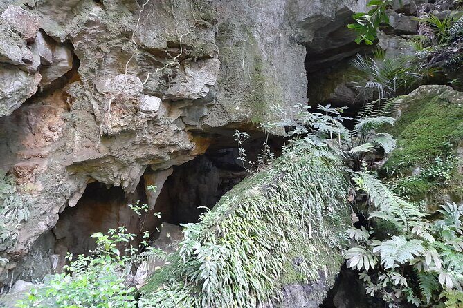 Milky Way Glowworm Cave Tour - FAQ