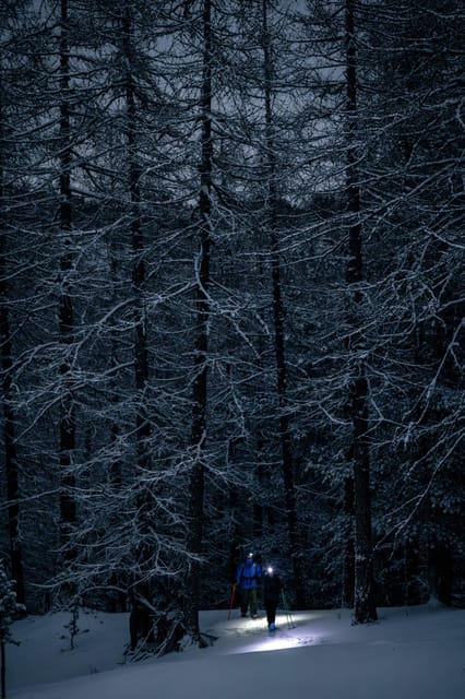 Milky Way: Night Snowshoeing Under the Stars - Key Points