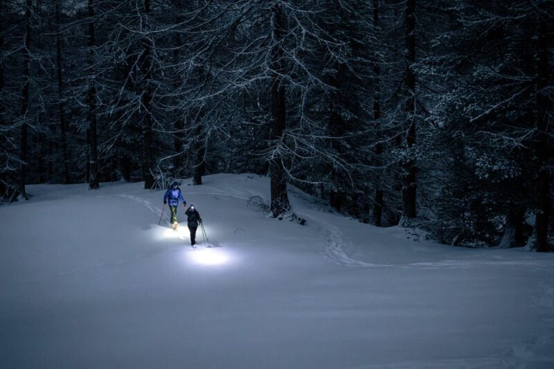 Milky Way: Night Snowshoeing Under the Stars - Guided Tour Through Larch Forests