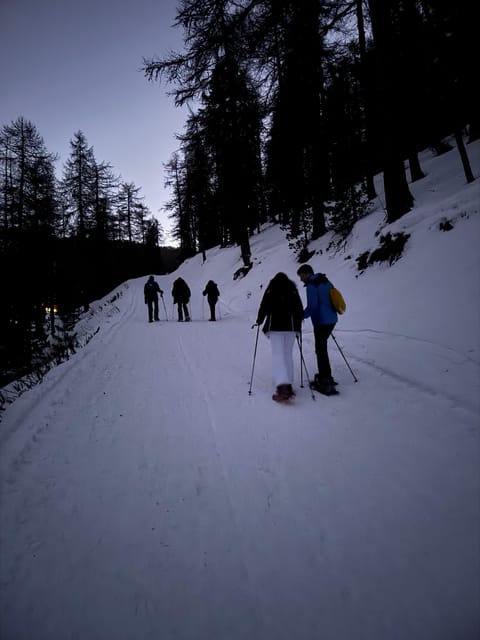 Milky Way: Night Snowshoeing Under the Stars - Important Considerations