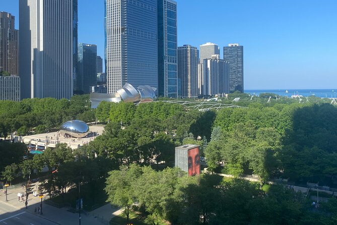 Millennium Park Art and Architecture Walking Tour - Navigating the Tour Logistics