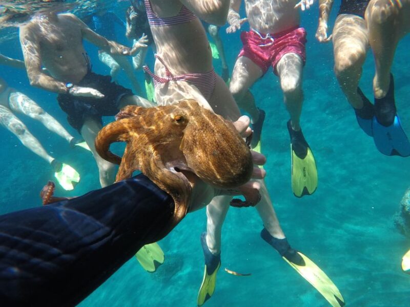 Milos: Half-Day Speedboat Cruise to Klefiko With Snorkeling - Scenic Locations