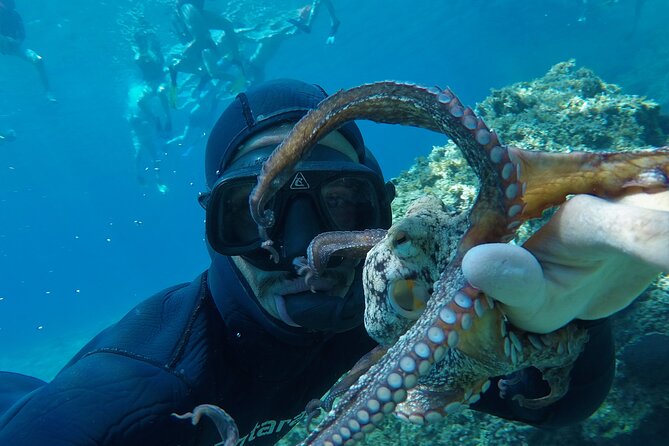 Milos: Half-Day Speedboat Cruise to Kleftiko With Snorkeling Tour - Tour Highlights