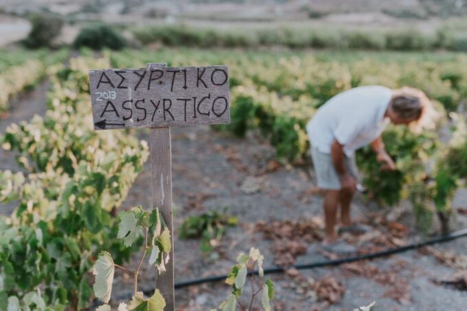 Milos Island: Kostantakis Winery Wine Tasting Experience - Winemaking History and Traditions