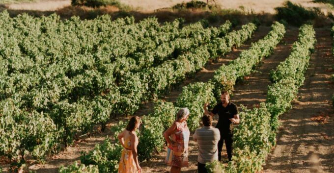 Milos Island: Kostantakis Winery Wine Tasting Experience - Tasting Selection and Pairings