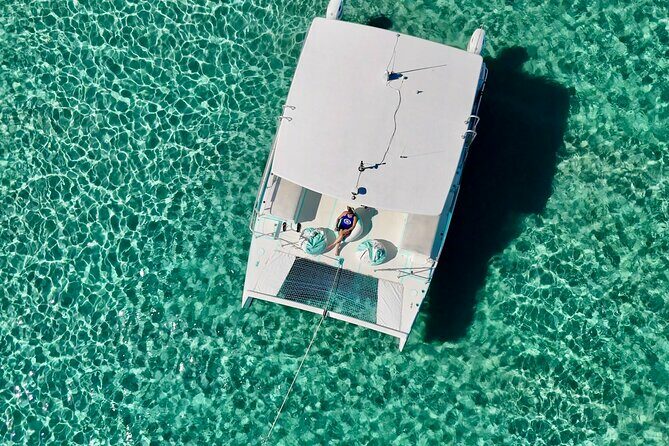 Mimosas, Mansions & Megayachts Tour - The Experience: What Travelers Say and What You Can Expect
