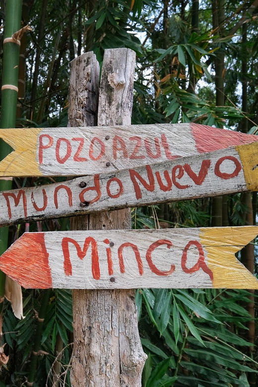MINCA CHOCOLATE AND COFFEE SANTA MARTA TOUR - Chocolate Factory Tour