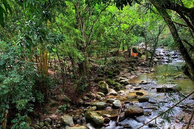 Minca - Coffee And Cocoa Tour - Tour Experience