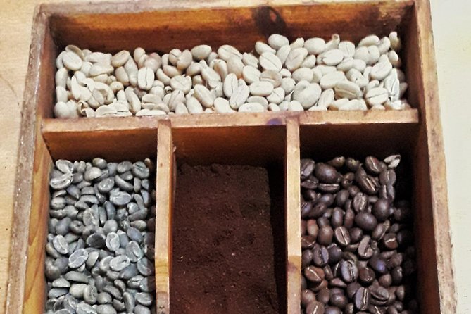 Minca - Coffee And Cocoa Tour - Health and Safety