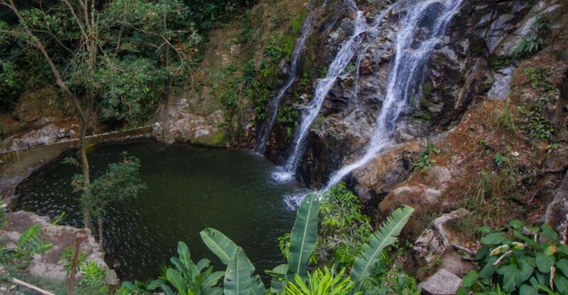 Minca: Day-Trip With Coffee Farm - Key Points