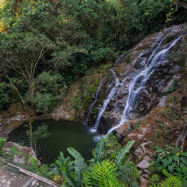 Minca: Day-Trip With Coffee Farm - Experience Highlights