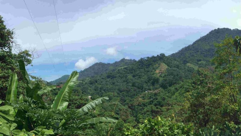 Minca Full Day Tour From Santa Marta - Key Points