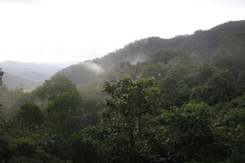 Minca Full Day Tour From Santa Marta - Pickup and Transportation