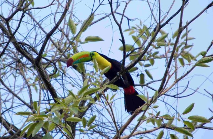 Minca Full Day Tour From Santa Marta - Booking and Availability