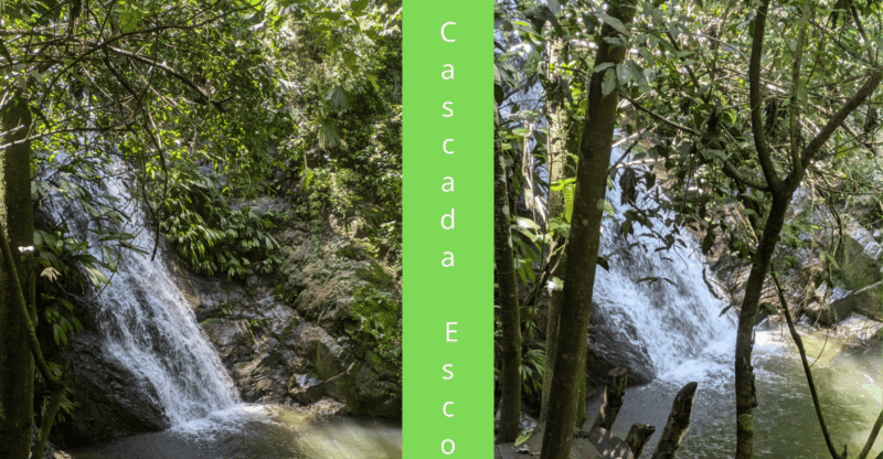 Minca, Hidden Waterfall & Cacao Workshop + Coffee Workshop - Activity Overview
