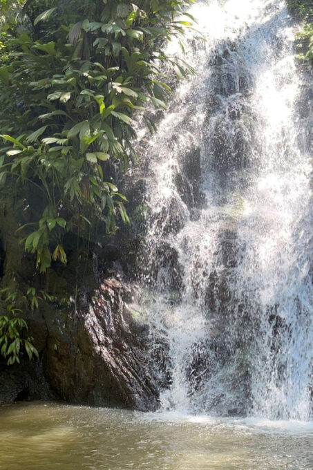 Minca: Hidden Waterfall + Coffee and Cocoa Workshop - Essential Information