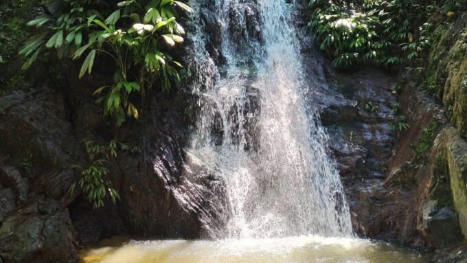 Minca: Hidden Waterfall + Coffee and Cocoa Workshop - Customer Reviews