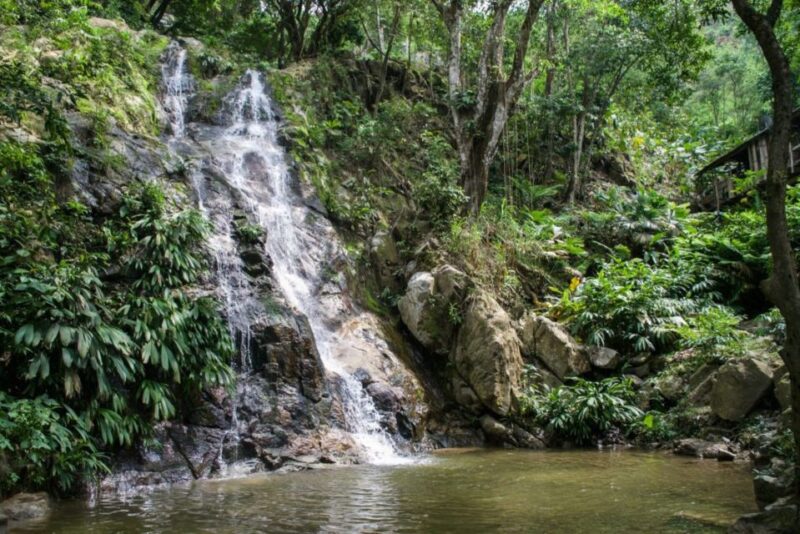 Minca, Waterfalls & Coffee Farm Tour - Itinerary Details