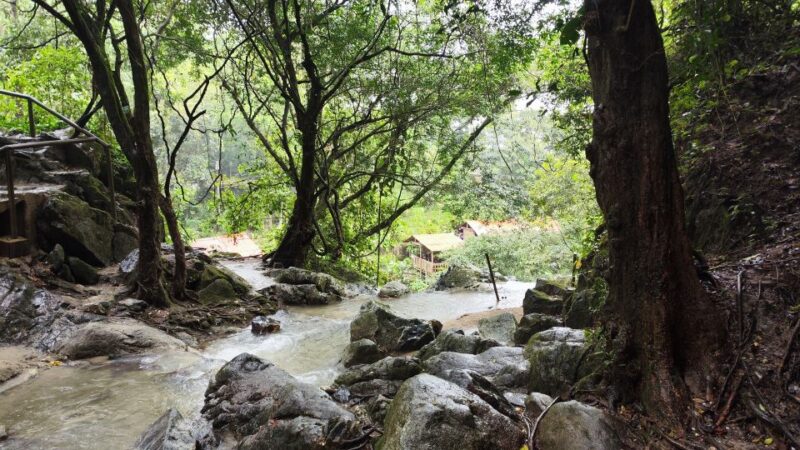 Minca, Waterfalls & Coffee Farm Tour - Important Information