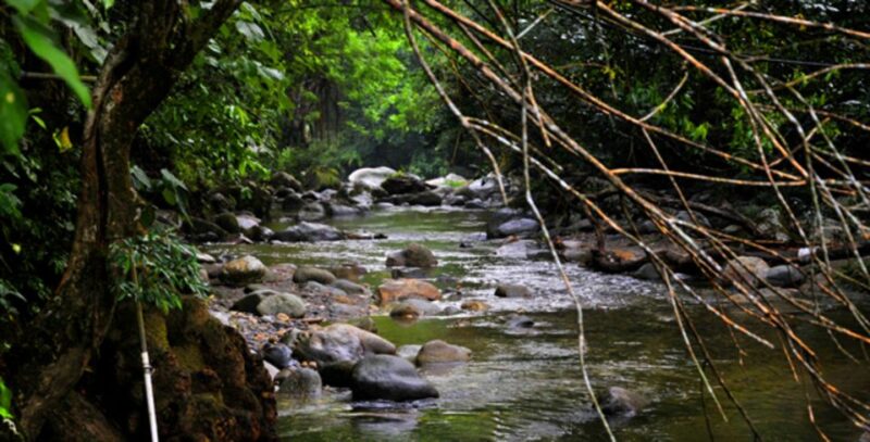 Minca, Waterfalls & Coffee Farm Tour - Recap