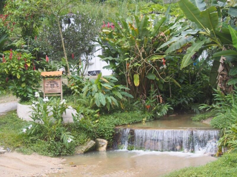 Minca, Waterfalls & Coffee Farm Tour - Minca Village Exploration