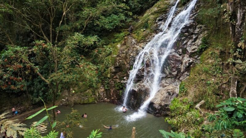 Minca, Waterfalls & Coffee Farm Tour - Recap