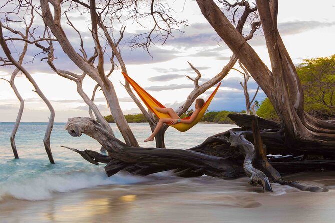 Mindful Meditation and Dharma Talks Around the Big Island - Key Points