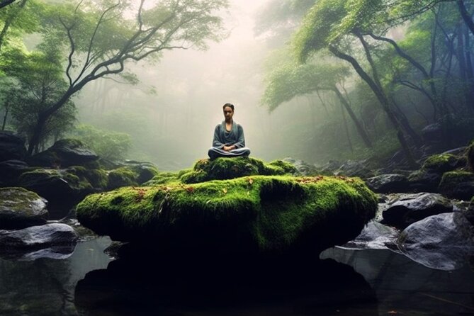Mindful Meditation and Dharma Talks Around the Big Island - Guided Meditation and Reflection
