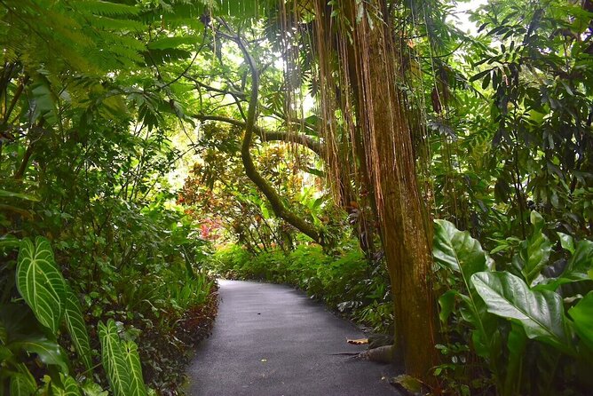 Mindful Meditation and Dharma Talks Around the Big Island - Exploring the Big Islands Landscapes