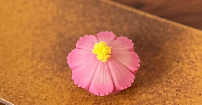 Mindful Wagashi Making & Tea Ceremony in Japanese Garden - Getting to the Venue