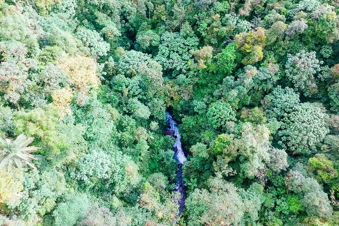Mindo Cloud Forest Full Day Tour From Quito - Adventure Options