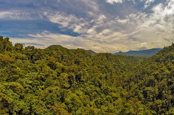 MINDO CLOUD FOREST: Nature & Adventure - Flexible Private Day Tour - Pricing and Cancellation