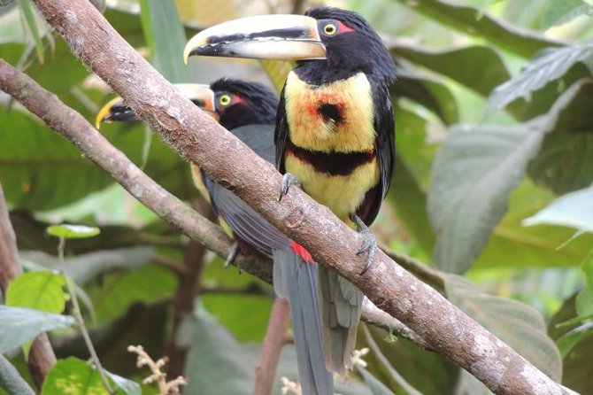 Mindo Cloud Forest Private Day Tour - What to Expect