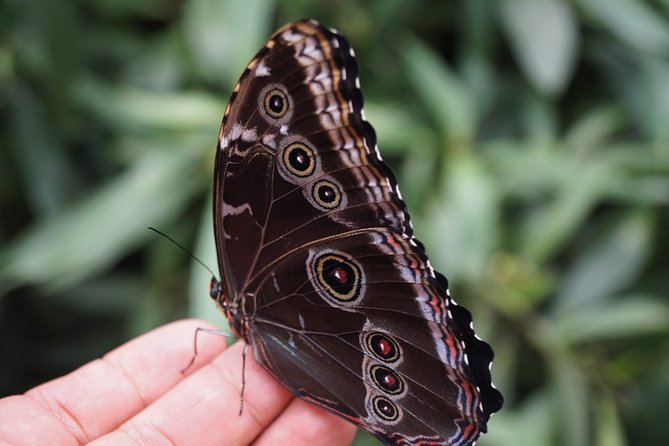Mindo Cloud Forest PRIVATE Day Trip - Booking and Cancellation Policy