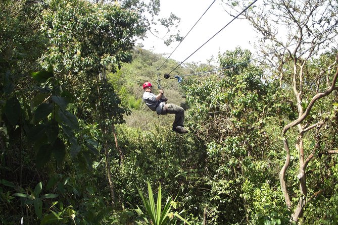 Mindo Cloud Forest (Private Day Trip From Quito) - Pricing and Inclusions
