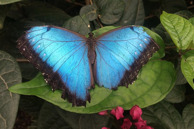 Mindo Cloud Forest (Private Day Trip From Quito) - Stop at the "Middle of the World"
